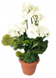Doniczka Bukiet Pelargonia Biała Sztuczne Kwiaty