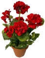 Doniczka Bukiet Pelargonia Czerwona Kompozycja Sztuczne Kwiaty