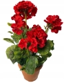 Doniczka Bukiet Pelargonia Czerwona Kompozycja Sztuczne Kwiaty