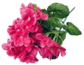 Sztuczny Bukiet Różowych Kwiatów Pelargonii 34 cm