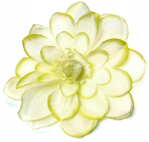 Dalia Biało Zielona Wyrobowa Główka x12 Sztuk Sztuczne Kwiaty