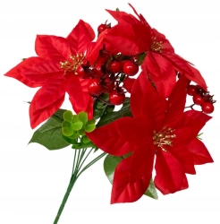 Bukiet Czerwona Gwiazda Betlejemska Premium Boże Narodzenie