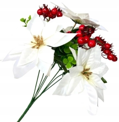 Bukiet Biała Gwiazda Betlejemska Premium Boże Narodzenie