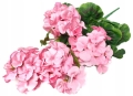Bukiet Pelargonia Różowa Premium Kwiat Sztuczny
