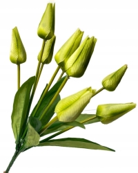 Sztuczny Bukiet Tulipanów Zielonych 9 Kwiatów Wiosna