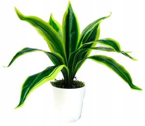 Sztuczna Sansewieria Roślina Zielona W Doniczce Dekoracja Kwiatowa