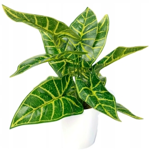 Sztuczna Roślina Alokazja Zielona W Doniczce Kompozycja Kwiatowa