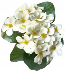 Bukiet Prymulka Biała Wiosna Kwiaty Sztuczne