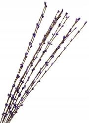 Żarnowiec Fioletowy Trawka Dekoracyjna 12 Gałązek Bukiet Sztuczne Kwiaty