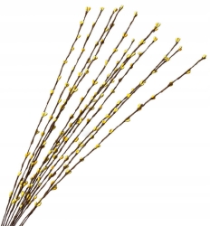 Żarnowiec Żółty Trawka Dekoracyjna 12 Gałązek Bukiet Sztuczne Kwiaty