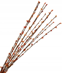 Żarnowiec Pomarańczowy Trawka Dekoracyjna 12 Gałązek Bukiet Sztuczne Kwiaty