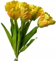 Sztuczny Bukiet Kwiatów Tulipan Żółty Strzępiasty 6 Gałązek
