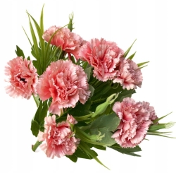 Bukiet Jasnoróżowy Goździk 5 Gałązek Kompozycja Sztuczne Kwiaty