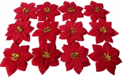 Kwiatu Poinsecji Welur Czerwona 12 Sztuk Gwiazdy Betlejemskiej
