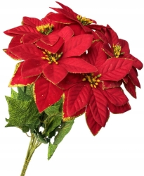 Czerwony Bukiet Poinsecji Gwiazda Betlejemska Welwet 5 Gałązek