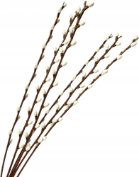 Bukiet Bazi Wiosna 6 Gałązek Sztuczne Kwiaty