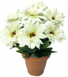 Kremowa Kompozycja Ze Sztucznych Kwiatów Gerbery Premium Dekoracja W Doniczce