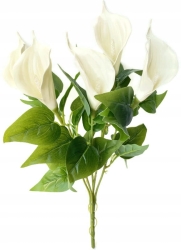 Kalia Kwiat Sztuczny W Bukiecie 5 Główek Kremowa Cantedeskia Piankowa