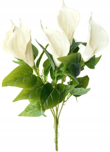 Kalia Kwiat Sztuczny W Bukiecie 5 Główek Kremowa Cantedeskia Piankowa Kompozycja Do Wazonu Stroik