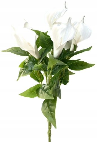 Kalia Kwiat Sztuczny W Bukiecie 5 Główek Biała Cantedeskia Piankowa Wazon Na Cmentarz Grób