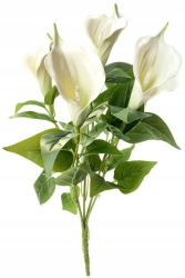 Kalia Kwiat Sztuczny W Bukiecie 5 Główek Zielona Cantedeskia Piankowa