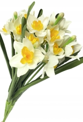 Sztuczny Bukiet Kwiatów Żonkil Biały Premium 7 Gałązek Dekoracja Na Wielkanoc