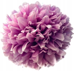 Chryzantema Główka Biało-Różowa 6 Cali Kwiat Sztuczny