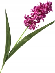 Sztuczny Kwiat Hiacynt Fioletowy Na Łodydze Gałązka Z Liściem Do Kompozycji