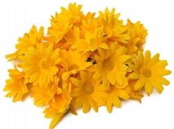 Margerytki Rumianek Żółte Główki 50 Sztuk Sztuczne Kwiaty