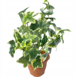 Doniczka Zielonych Liści Dekoracja Bukiet Gałązek Ozdoba Kompozycja Kwiat Sztuczny