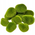 Omszale-Kamienie-Mchu-Ozdoba-10-Kamieni-Styropianowych-Zielonych-Stroik-Kod-producenta-Kamienie-Mech-Moss-Omszaly-Sloik-Terrarium.jpg