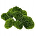 Omszale-Kamienie-Mchu-Ozdoba-10-Kamieni-Styropianowych-Zielonych-Stroik-Kod-producenta-Kamienie-Mech-Moss-Omszaly-Sloik-Terrarium.jpg
