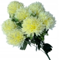 Bukiet-Chryzantemy-12-Galazek-Ozdoba-Stroik-Dekoracja-Kwiat-Sztuczny-Kod-producenta-Zlocien-Aster-Bukiecik-Wazon-Stroik-Na-Grob.jpg