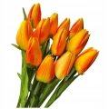 Kwiat Sztuczny Tulipan W Bukiecie 12 Główek Tulipana Wielkanoc Pomarańczowy