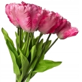 Bukiet-Tulipanow-12-Glowek-Kompozycja-Stroik-Wielkanoc-kwiaty-sztuczne-Kod-producenta-Tulipan-Roslina-Wazonu-Wiosna-Galazki-Stroik (2).jpg