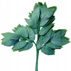 Gałązka Liść Zielony Mango Omszały Do Bukietów Dekoracji kwiaty sztuczne