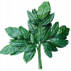 Gałązka Liść Zielony Mango Premium Do Bukietów Dekoracji kwiaty sztuczne