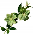 Clematis-Bukiet-Galazek-Ozdoba-Do-Kompozycji-Stroikow-kwiaty-sztuczne-Kod-producenta-Galazki-Wazon-Stroik-Wiosna-Bukiecik (2).jpg