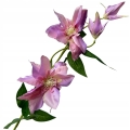 Clematis-Bukiet-Galazek-Ozdoba-Do-Kompozycji-Stroikow-kwiaty-sztuczne-Kod-producenta-Galazki-Wazon-Stroik-Wiosna-Bukiecik (5).jpg