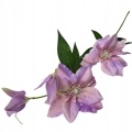 Clematis-Bukiet-Galazek-Ozdoba-Do-Kompozycji-Stroikow-kwiaty-sztuczne (5).jpg