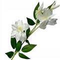 Clematis-Bukiet-Galazek-Ozdoba-Do-Kompozycji-Stroikow-kwiaty-sztuczne-Kod-producenta-Galazki-Wazon-Stroik-Wiosna-Bukiecik (7).jpg