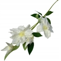 Clematis-Bukiet-Galazek-Ozdoba-Do-Kompozycji-Stroikow-kwiaty-sztuczne (7).jpg
