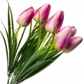 Bukiet-Tulipanow-9-Glowek-Kompozycja-Stroik-Wielkanoc-kwiaty-sztuczne-Kod-producenta-Tulipan-Roslina-Wazonu-Wiosna-Galazki-Stroik (2).jpg