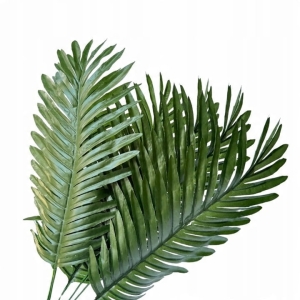 Gałązka Liść Zielony Duży Palma 6 Sztuk Do Wazonu Bukietów kwiaty sztuczne
