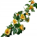Bukiet-Petunia-Surfinia-Bukiecik-Galazek-71-cm-Do-Wazonu-kwiaty-sztuczne-Kolor-pomaranczowy.jpg