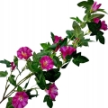 Bukiet-Petunia-Surfinia-Bukiecik-Galazek-71-cm-Do-Wazonu-kwiaty-sztuczne-Kolor-fioletowy.jpg