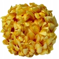 BOGATA-CHRYZANTEMA-ANANAS-KWIAT-GLOWKA-KOKOS-PREMIUM-STROIK-SZTUCZNE-KWIATY-Kolor-pomaranczowy (1).jpg