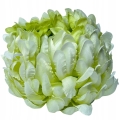 BOGATA-CHRYZANTEMA-ANANAS-KWIAT-GLOWKA-KOKOS-PREMIUM-STROIK-SZTUCZNE-KWIATY (13).jpg