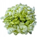 BOGATA-CHRYZANTEMA-ANANAS-KWIAT-GLOWKA-KOKOS-PREMIUM-STROIK-SZTUCZNE-KWIATY-Kolor-zielony.jpg