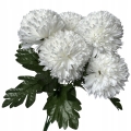 14fc89f643e199194d6abffb5da8.jpg